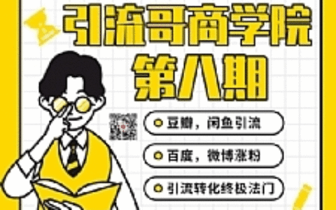 引流哥商学院最新教程 豆瓣闲鱼百度霸屏微博终极引流转化法门（价值798元）