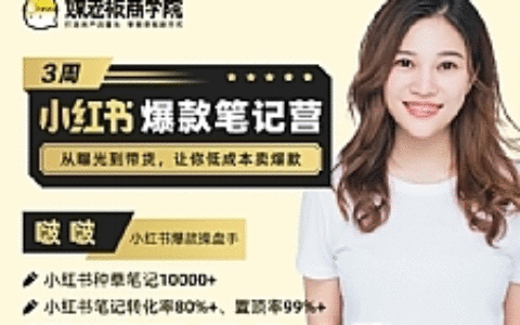 小红书爆款运营教程：从曝光到带货，让你低成本卖爆款（完结）价值699元