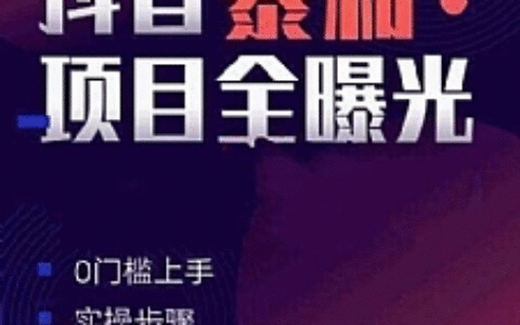 抖音暴利项目全曝光:揭秘5个月入1万+的项目（完结）