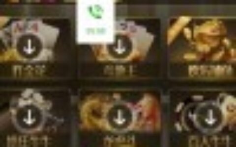 【茶余饭后】最新更新微星二开ui泰轩国际服务器打包完整数据+双端app正常