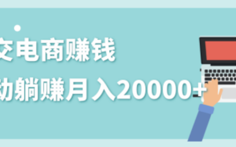 2020年最赚钱的副业_社交电商被动躺赚月入20000+