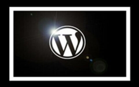 wordpress建站教程视频合集49套