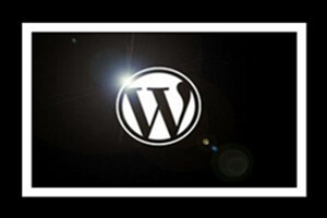 wordpress建站教程视频合集49套