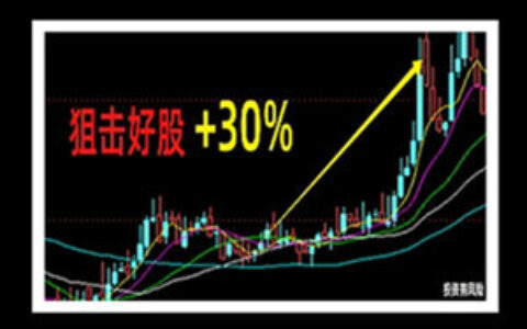 股票视频教程 新手快速赚钱