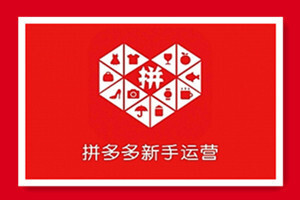 拼多多开店自学视频教程