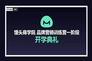 馒头商学院：品牌课（完结）