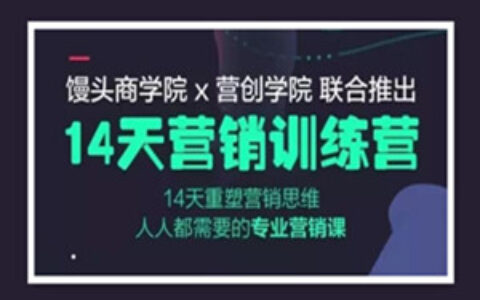 馒头商学院：14天营销课（完结）