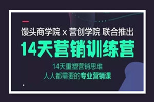 馒头商学院：14天营销课（完结）
