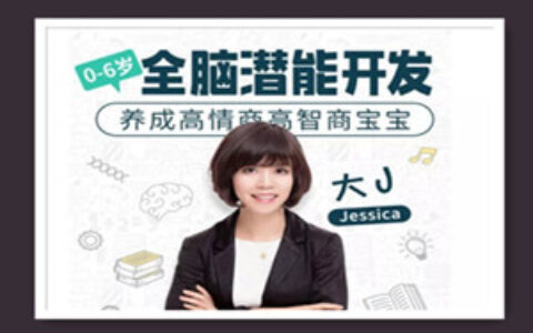 大J小D亲授：0-6岁全脑潜能开发，养成高情商高智商宝宝