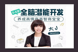 大J小D亲授：0-6岁全脑潜能开发，养成高情商高智商宝宝