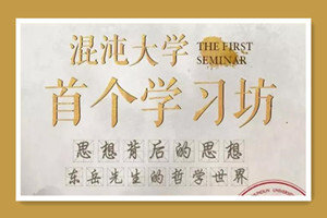 混沌大学王东岳学习坊