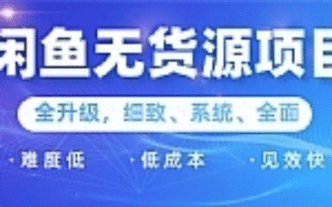 闲鱼无货源项目：0基础玩转闲鱼价格差，信息差，轻松月入过万元