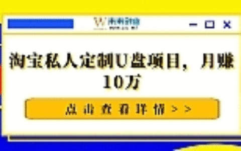 淘宝私人定制U盘项目，月赚10万