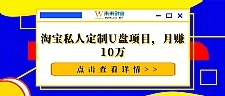 淘宝私人定制U盘项目，月赚10万