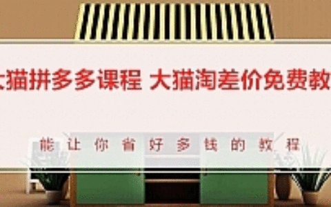 大猫拼多多课程-大猫淘差价教程