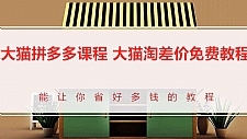 大猫拼多多课程-大猫淘差价教程