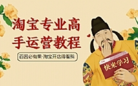不做野战军，淘宝专业高手运营教程