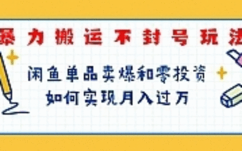 暴力搬运不封号玩法，闲鱼单品卖爆和零投资如何实现月入过万