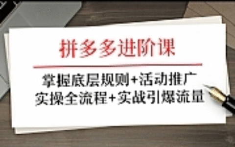 拼多多进阶课 掌握底层规则+活动推广+实操全流程+实战引爆流量