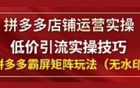 拼多多店铺运营实操，低价引流实操技巧，拼多多霸屏矩阵玩法（无水印）
