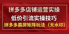 拼多多店铺运营实操，低价引流实操技巧，拼多多霸屏矩阵玩法（无水印）