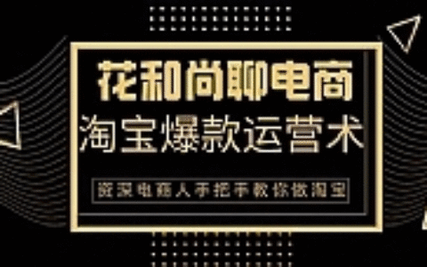 天猫淘宝爆款运营实操技术系列课：资深电商人手把手教你做淘宝（无水印）