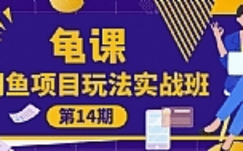 龟课《闲鱼项目玩法实战班第14期》批量细节玩法，一个月收益几万