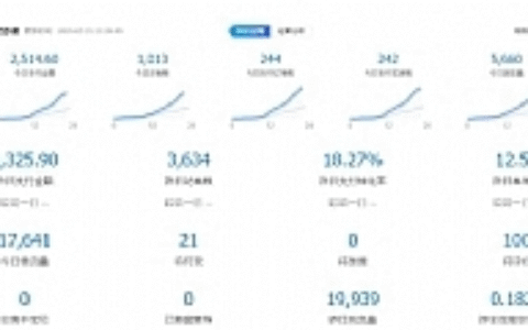 黑帽子淘宝虚拟卖货项目，单店月赚5000，可批量放大操作（无水印-视频课）