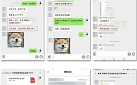 龟课·闲鱼无货源电商课程第15期，一个月收益几万不等【33节视频-无水印】