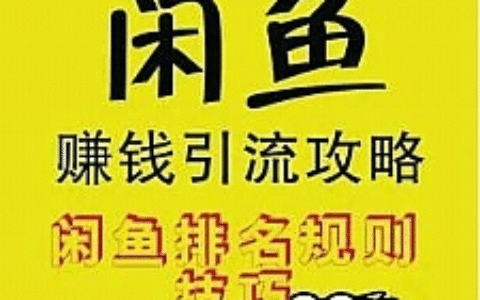 闲鱼赚钱引流攻略，闲鱼排名规则技巧