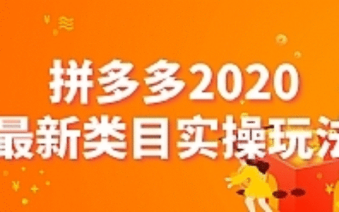 拼多多2020最新类目实操玩法，轻松操作到日销千单