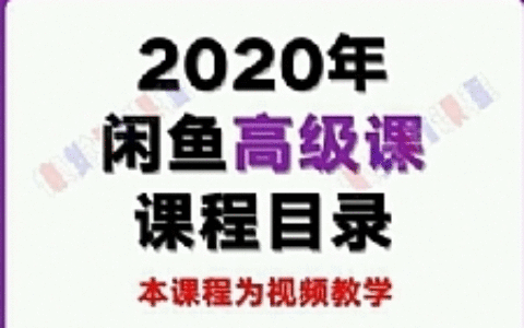 懒觉猫闲鱼初级课程+高级课程：教你60秒选出日赚300元闲鱼爆款产品