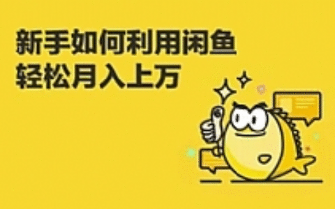 闲鱼卖货教程：新手没经验学闲鱼卖货，3周卖货收入2万（价值889）
