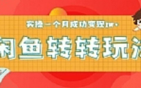 轻松日引精准粉300+，实操一个月成功变现1W+ ，闲鱼转转5月最新玩法