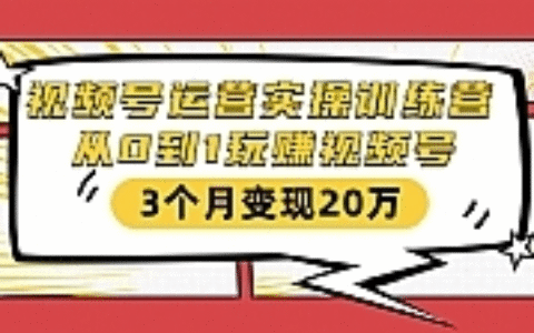 视频号运营实操训练营：从0到1玩赚视频号，3个月变现20万