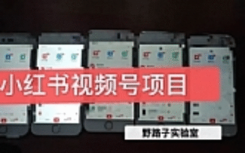 小红书直接上手操作就能赚钱的视频号项目 可长久操作