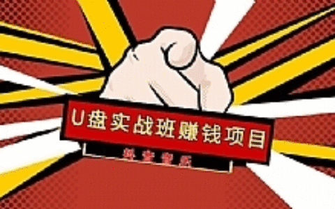 抖音音乐U盘实战班赚钱项目