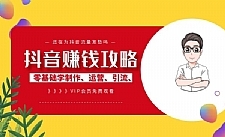 抖音赚钱攻略：零基础学制作、运营、引流、变现