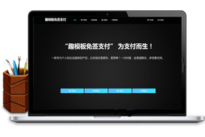 fastpay支付系统源码，，码商店员免监控挂机支付系统源码，代理+盘口