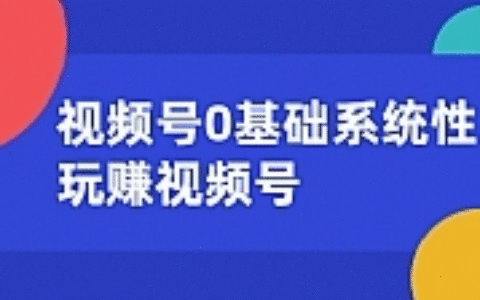 视频号0基础系统性玩赚视频号内容运营+引流+快速变现（20节课）