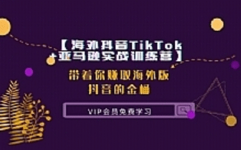 【海外抖音TikTok+亚马逊实战训练营】带着你赚取海外版抖音的金桶