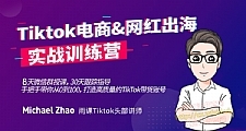 Tiktok电商&网红出海实战训练营