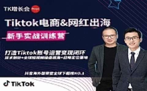 0基础学习抖音国际版TikTok海外短视频营销，新手实战训练营