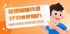 短视频赚钱课：3个月变现100万 揭秘抖音网红敛财的暴力玩法 触碰财富的芳香