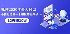 抓住今年最大风口，小白也能做一个赚钱视频号，12天赚10W（赠送爆款拆解)