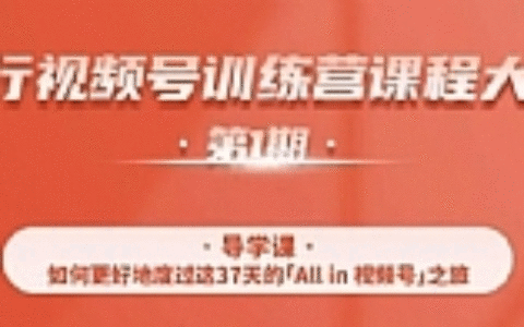 视频号特训营，从零启动视频号30天，全营变现5.5万元【价值799元】无水印