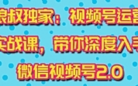 视频号运营实战课2.0，目前市面上最新最全玩法，快速吸粉吸金（10节视频）