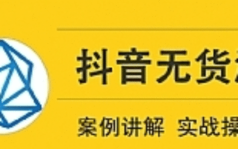 顽石电商低投入高回报抖音无货源实战教程