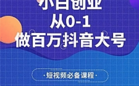 蛋解创业 小白创业从0-1做百万抖音大号 全套实战课