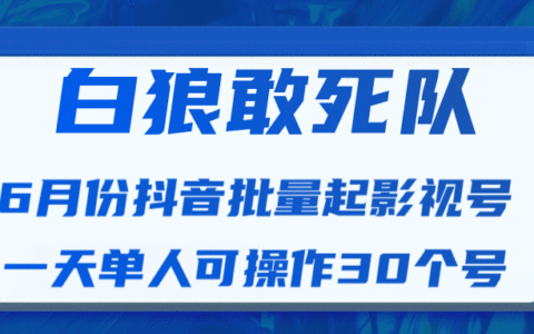 最新抖音短视频批量起影视号视频课程（一天单人可操作30个号）